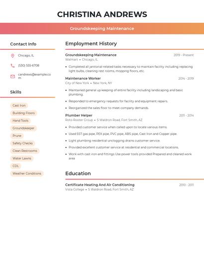 Resume example 3