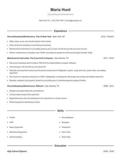 Resume example 1