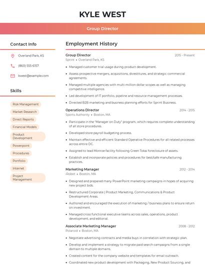 Resume example 3