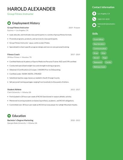 Resume example 4