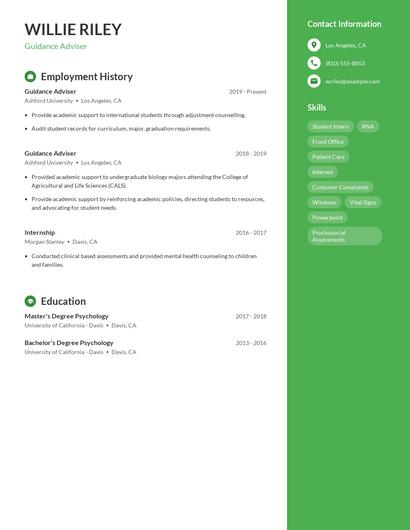 Guidance Adviser Resume