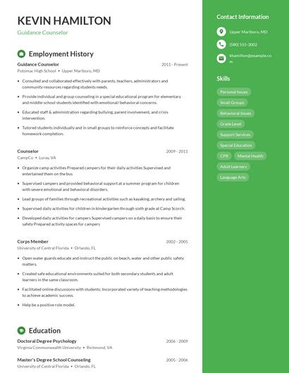 Resume example 5