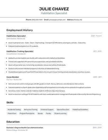 Resume example 2