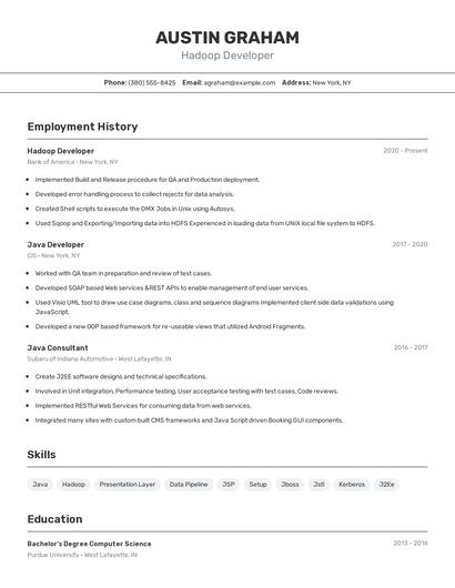 Resume example 2