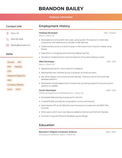 Resume example 3