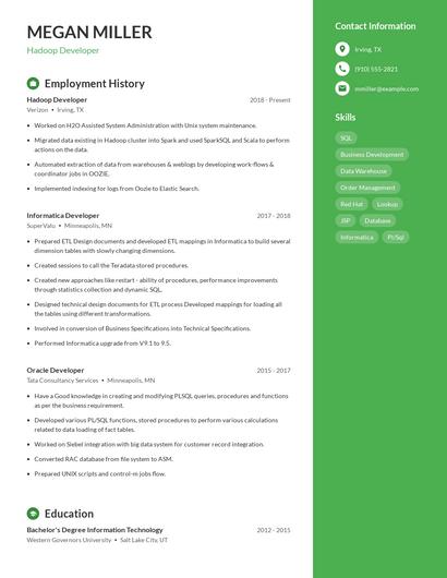 Resume example 5
