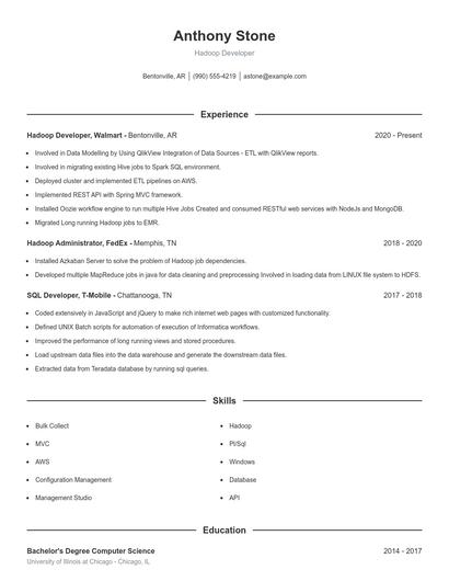 Resume example 1