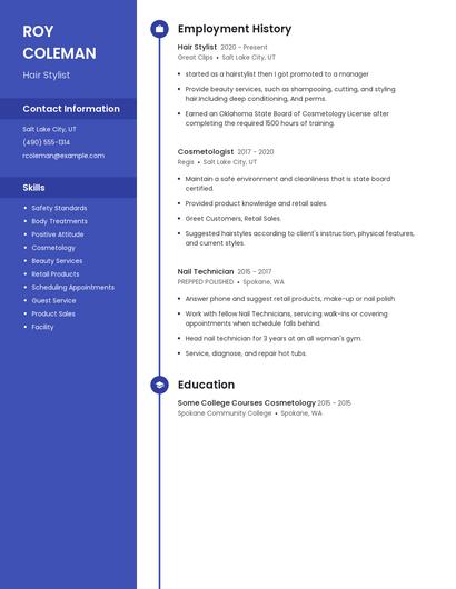 Resume example 4