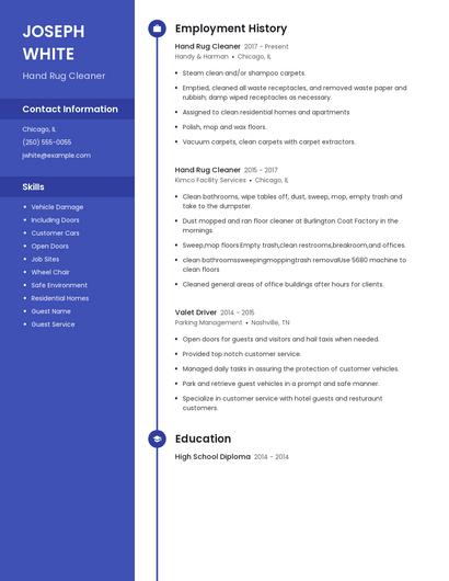 Hand Rug Cleaner Resume