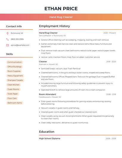 Hand Rug Cleaner Resume