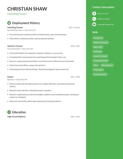 Hand Rug Cleaner Resume