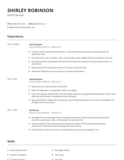 Hand Sprayer Resume