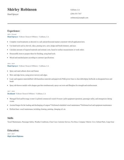 Hand Sprayer Resume