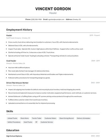 Resume example 2
