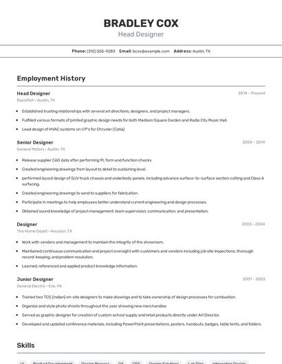 Resume example 2