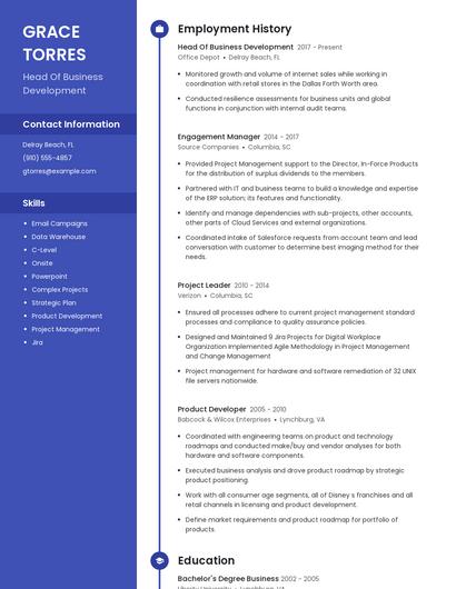 Resume example 4
