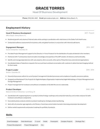 Resume example 2