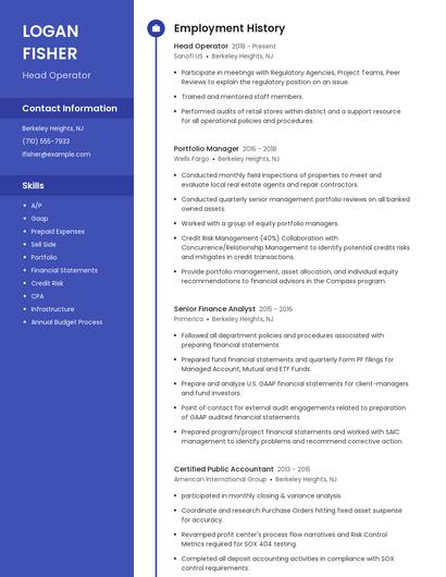 Resume example 4
