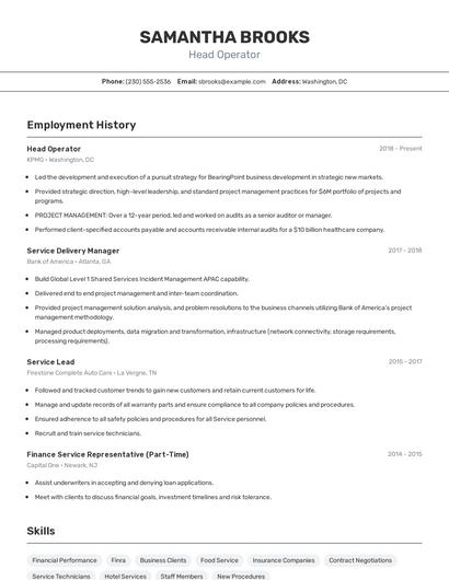 Resume example 2