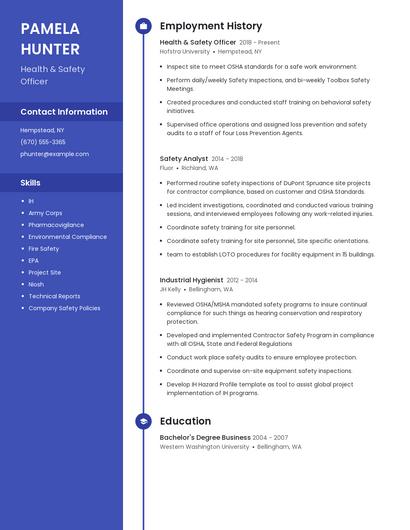 Resume example 5