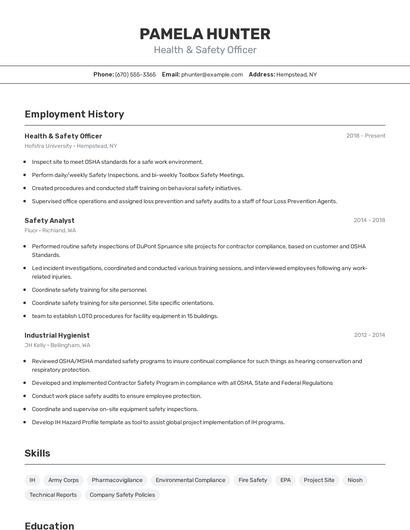 Resume example 2