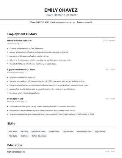 Resume example 2