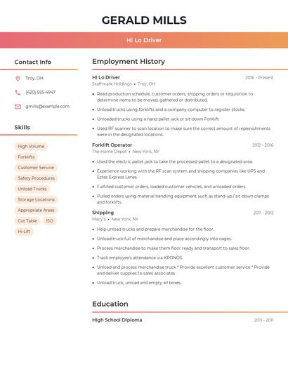 Resume example 3