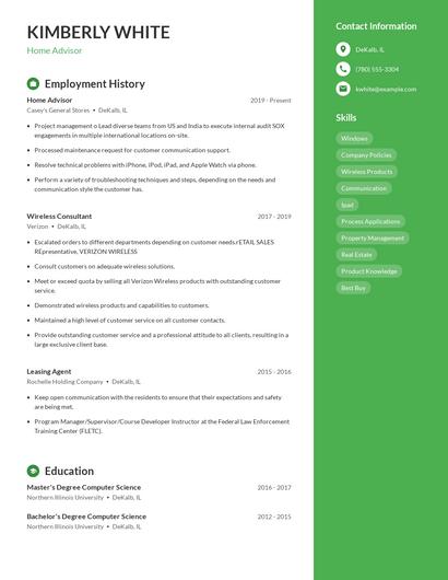Resume example 4