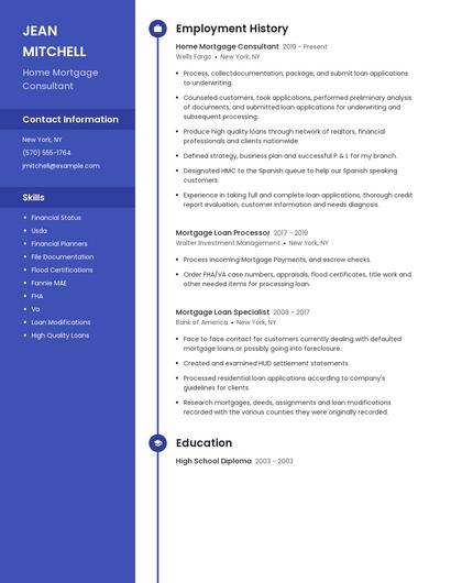 Resume example 5
