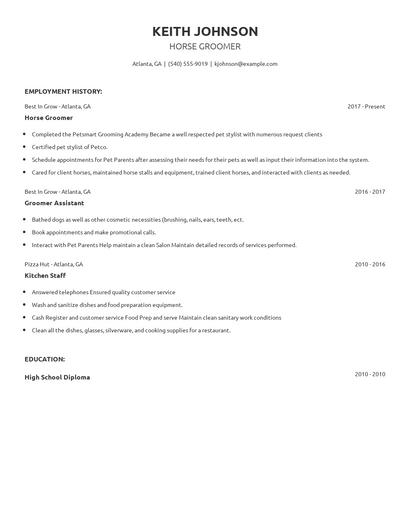 Horse Groomer Resume