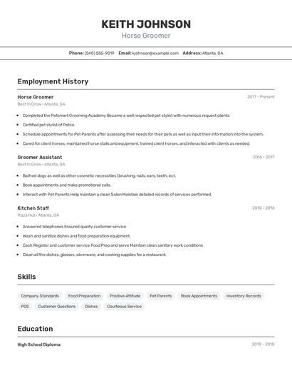 Horse Groomer Resume