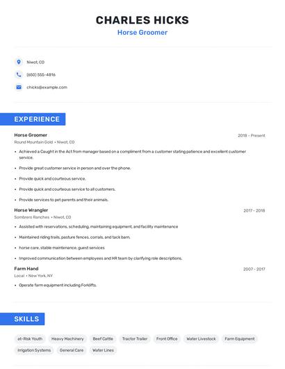 Horse Groomer Resume