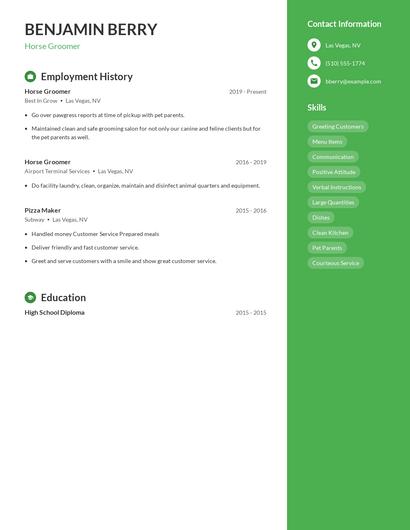 Horse Groomer Resume