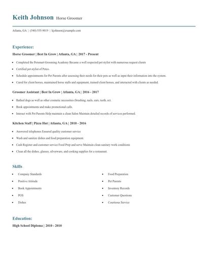 Horse Groomer Resume
