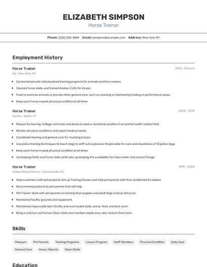 Resume example 2