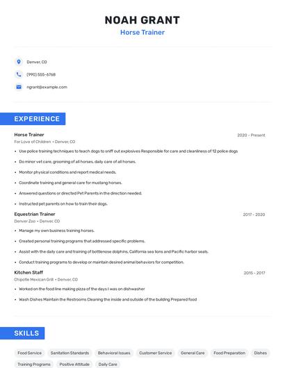 Horse Trainer Resume