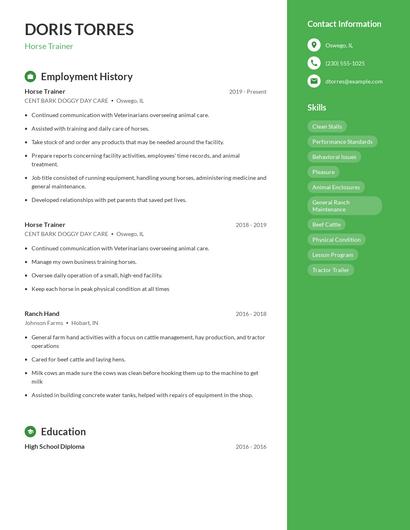 Resume example 5