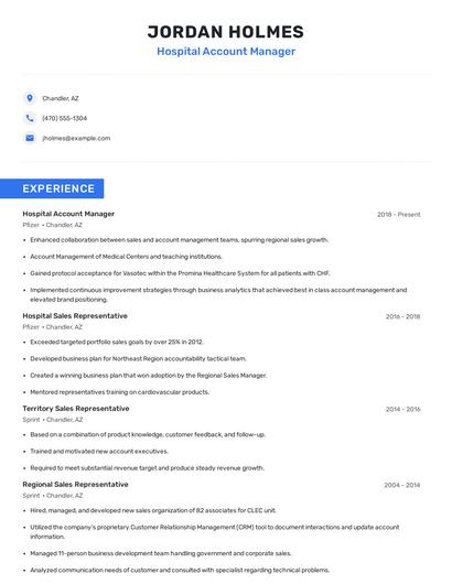 Hospital Account Manager Resume
