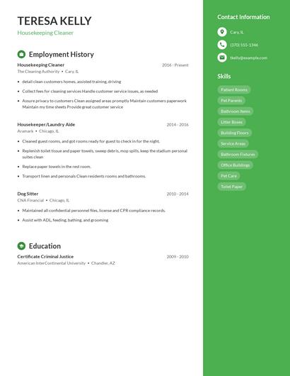 Resume example 4