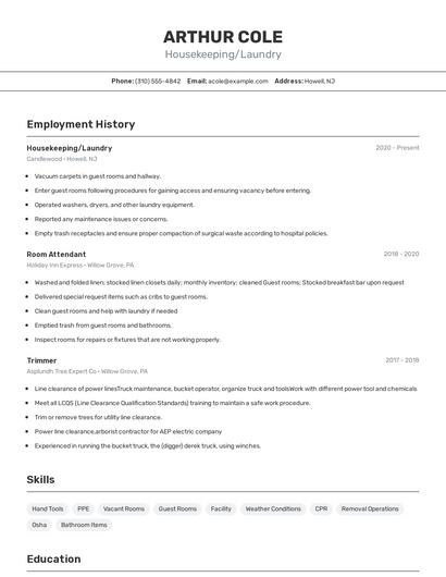 Resume example 2