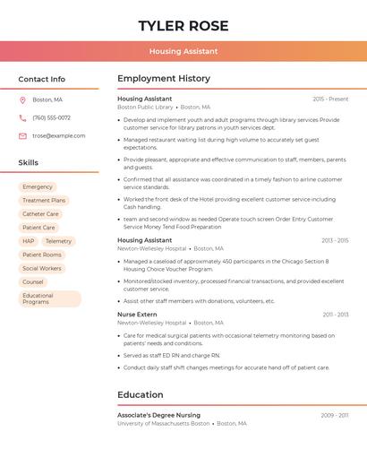 Resume example 3