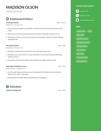 Resume example 4