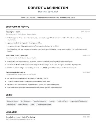 Resume example 2