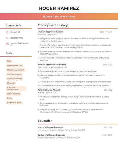 Resume example 3