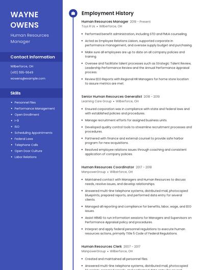 Resume example 5