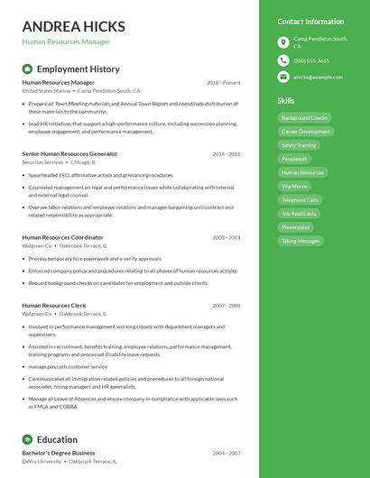 Resume example 4