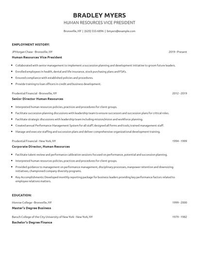 Human Resources Vice President Resume