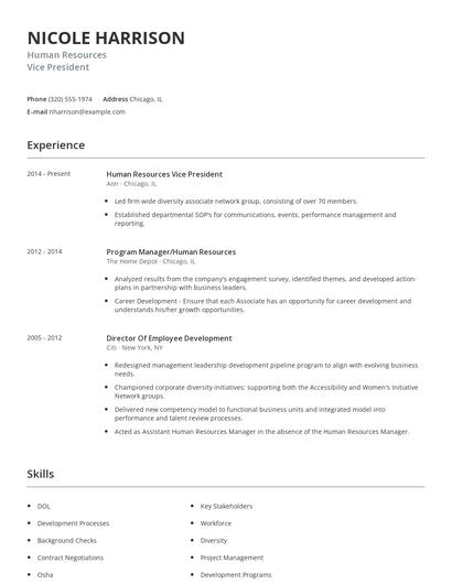Human Resources Vice President Resume