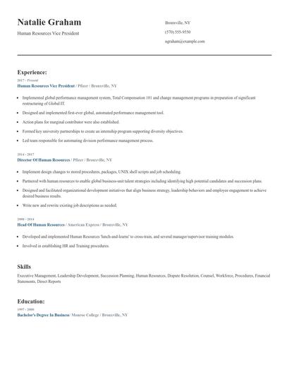 Human Resources Vice President Resume