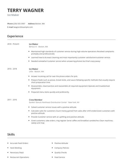 Ice Maker Resume